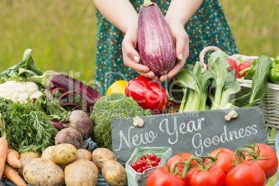 Composite image of new year goodness
