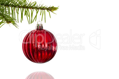 Red christmas decoration hanging from branch