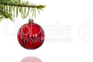 Red christmas decoration hanging from branch