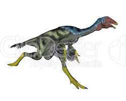 Caudipteryx dinosaur running- 3D render