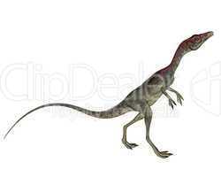Compsognathus dinosaur walking - 3D render