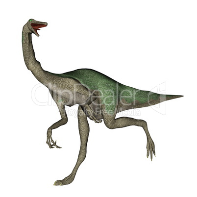 Gallimimus dinosaur walking - 3D render