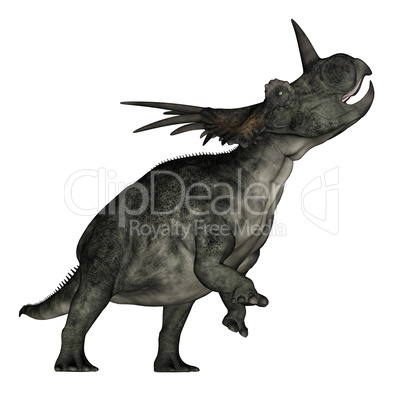 Styracosaurus dinosaur roaring - 3D render