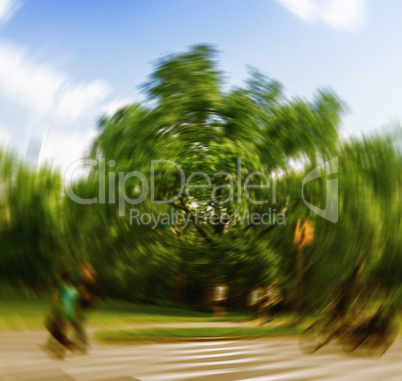 Blurred picture of fast action in Central Park, Manhattan
