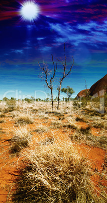 Autralian Outback. Terrain colors with bush and red sand at dusk