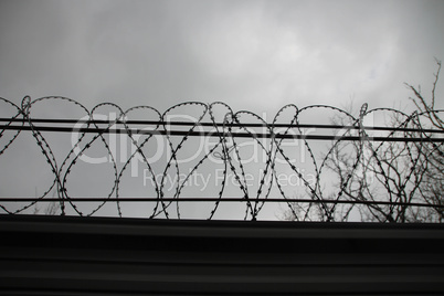 Barbed wire on the fence