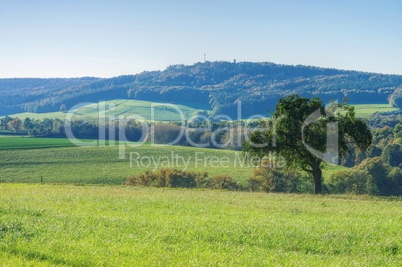 Seelitz Landschaft - Seelitz landscape 01