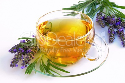 Tee Lavendel - lavender tea 06