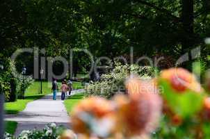 pensionisten spazieren im park