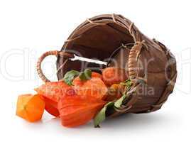 Physalis in a basket