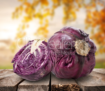 Purple cabbage on table