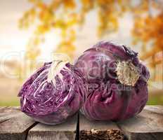 Purple cabbage on table