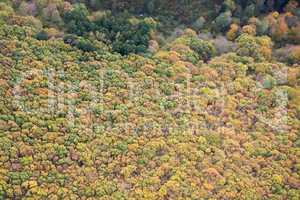 Die Eifel, Rheinland-Pfalz, Deutschland