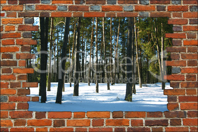 broken brick wall and view to Winter forest