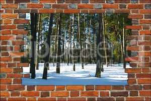 broken brick wall and view to Winter forest