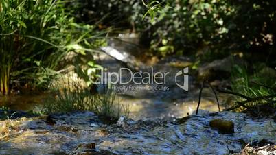 Creek with water running