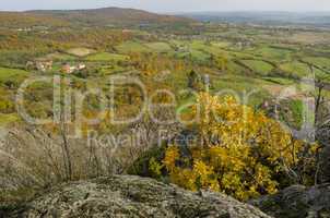 Autumn rural landscape