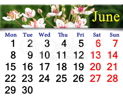 calendar for June of 2015 year with image of butomus umbellatus