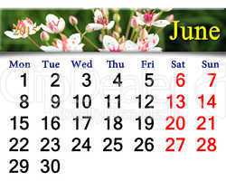 calendar for June of 2015 year with image of butomus umbellatus