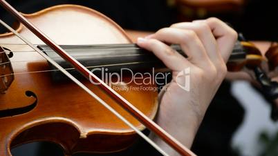 Concert of violins viola and violoncello