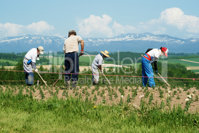 Farmers in Japan.