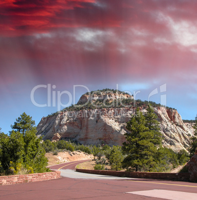 Red road of Zion National Park