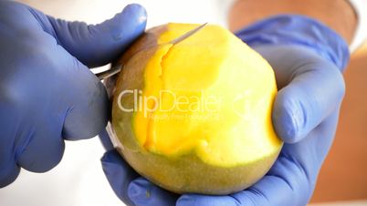 Hands of chef or professional chef cutting a mango fruit