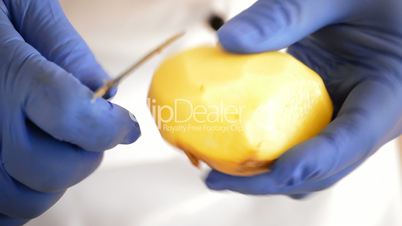 Hands of professional chef peeling potatoes with knife