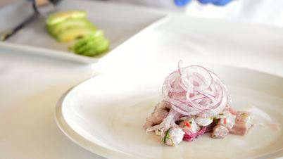 Hands of professional chef decorating a dish ceviche with avocadoHands of professional chef decorating a Hands of professional chef decorating a dish ceviche with avocadodish ceviche with avocado