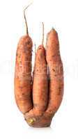 Figured carrot