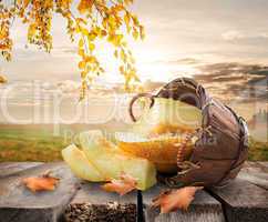 Melon and landscape