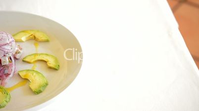 Plate Ceviche with Avocado panoramic