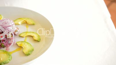Plate Ceviche with Avocado panoramic