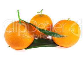 Three tangerines