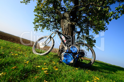 mountainbike mit baum im herbst