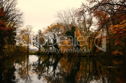 bunter herbstwald mit see und spiegelung