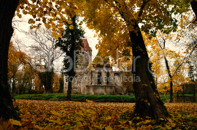 herbstwald und schloss