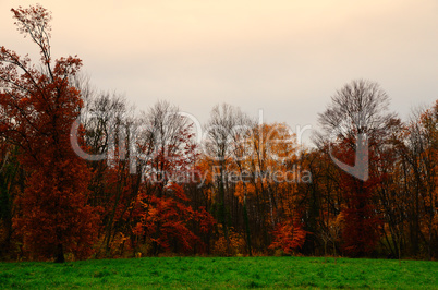 viele farben im herbst