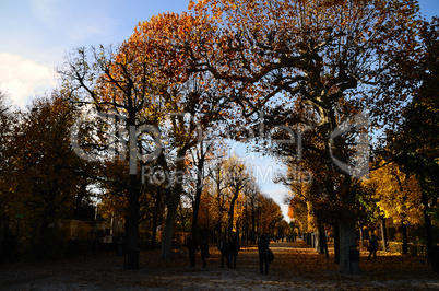 schlossallee in wien und herbst