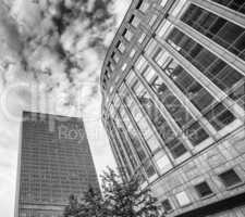 Canary Wharf. Beautiful view of Skyscrapers and trees from stree