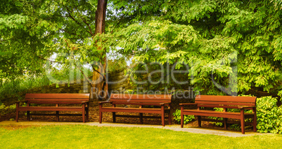 Empty benches in a beautiful park. Serenity and loneliness conce