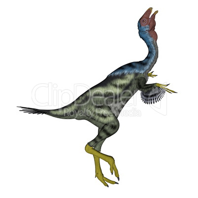 Caudipteryx dinosaur head up- 3D render
