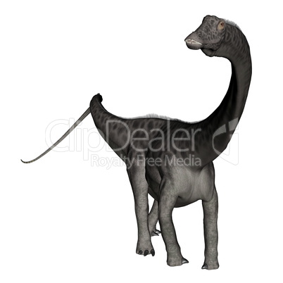 Diplodocus dinosaur standing - 3D render