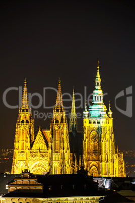 The Prague castle close up