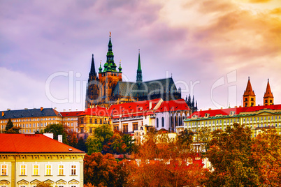 The Prague castle close up