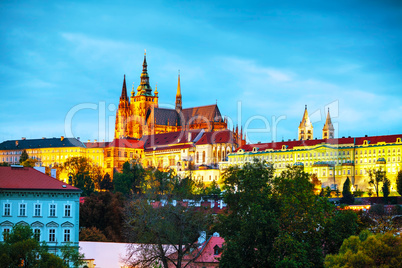 The Prague castle close up