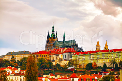 The Prague castle close up