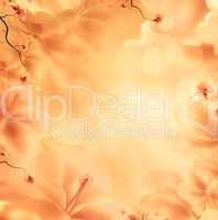 Floral Background