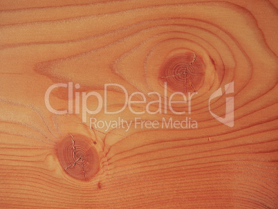 Larch wood background