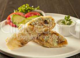 Traditional roll kebab paratha tikka wrap served on a plate with